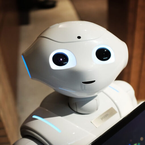 Different Ai models